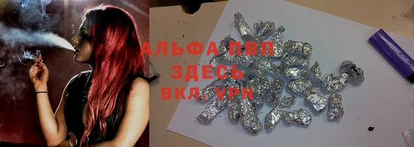 стаф Беломорск