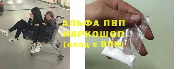 стаф Беломорск