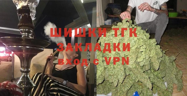 сатива Белокуриха
