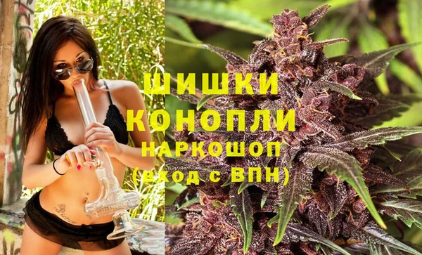гидропоника Белоозёрский